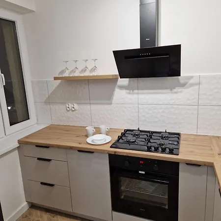 Przy Zamku Apartment